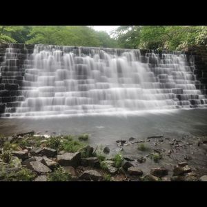 Meet your Posher, Bryant